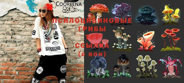 2c-b Алексеевка