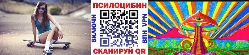 Псилоцибиновые грибы Psilocybe  Купить где  Меленки 